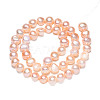Natural Cultured Freshwater Pearl Beads Strands X-PSB003Y-2-4
