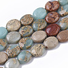 Natural Aqua Terra Jasper Beads Strands X-G-S366-015A-1
