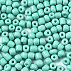 6/0 Glass Seed Beads SEED-S058-A-F439-3