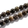 Round Natural Ocean Agate/Ocean Jasper Beads Strands G-O199-02A-1