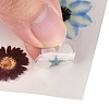 Waterproof Plastic Self Adhesive Stickers DIY-F064-13E-3