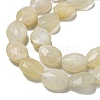 Natural Rainbow Moonstone Beads Strands G-P544-D03-01-4