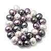 Shell Pearl Beads Strands BSHE-F013-01K-2
