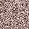 MIYUKI Round Rocailles Beads SEED-JP0009-RR0579-3