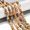 Natural Crazy Agate Beads Strands G-P497-01C-08-2