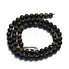 Natural Biotite Beads Strands G-P457-C02-01-3