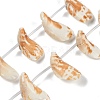 Natural Shell Beads Strands SHEL-K009-12-1