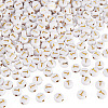 500Pcs Plating Acrylic Beads PACR-TADJ0001-01T-1