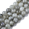 Natural Labradorite Round Beads Strands G-S158-6mm-1