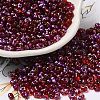 Spray Painted Glass Seed Beads SEED-F005-06A-03-1