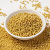MIYUKI Round Rocailles Beads SEED-G008-RR4452-2