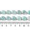 Natural Amazonite Beads Strands G-N342-18-5