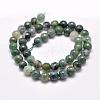 Natural Moss Agate Beads Strands G-F350-6mm-2