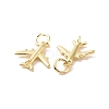 Rack Plating Brass Charms X-ZIRC-C042-09G-2