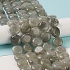 Natural Labradorite Beads Strands G-M403-C09-01-2