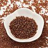 Baking Paint Glass Seed Beads X-SEED-S042-18B-01-2