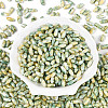 Baking Paint Glass Seed Beads SEED-N008-06H-2