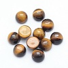 Natural Tiger Eye Cabochons X-G-P393-R25-4MM-1
