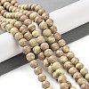 Natural Rainbow Alashan Agate Beads Strands G-NH0022-A05-02-2