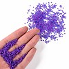 12/0 Grade A Round Glass Seed Beads X-SEED-N001-D-13/207-4