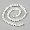 Electroplate Glass Beads Strands EGLA-A034-J10mm-A01-2
