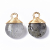 Natural Labradorite Pendants X-G-S359-021A-2