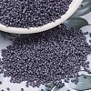 MIYUKI Delica Beads SEED-J020-DB2292-1