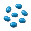 Synthetic Turquoise Cabochons G-G759-Z22-1
