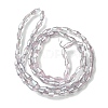 Transparent Electroplate Glass Beads Strands GLAA-K064-05A-PL06-2