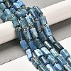 Natural Apatite Beads Strands G-N327-06-27-2