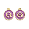 Golden Plated Alloy Enamel Charms ENAM-Q437-12Q-1