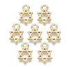 Alloy Charms X-PALLOY-S132-084-1