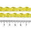 Transparent Glass Beads Strands EGLA-N013-T10mm-D26-4