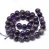 Natural Amethyst Beads Strands G-R446-6mm-20-2