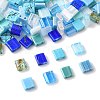 100Pcs 12 Styles 2-Hole Glass Seed Beads SEED-FS0001-44-2