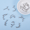 Brass Micro Pave Cubic Zirconia Pendants ZIRC-SC0001-01P-5
