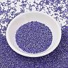 MIYUKI Delica Beads SEED-X0054-DB1569-2