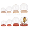   8 Sets 8 Style Round Glass Dome Cover AJEW-PH0004-87-1