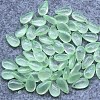 Transpaarent Glass Beads GLAA-WH0001-02A-15-1