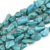 Natural Howlite Beads Strands G-N0312-01D-2