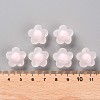 Transparent Acrylic Beads TACR-S152-09C-08-4