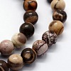 Natural Zebra Jasper Beads Strands G-I199-10-10mm-3