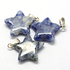 Star Natural Blue Spot Jasper Pendants G-Q367-17-2