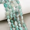Natural Amazonite Nuggets Beads Strands G-J335-31B-1
