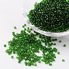 12/0 Glass Seed Beads X-SEED-A004-2mm-7B-1