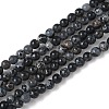 Dyed Natural Regalite/Imperial Jasper/Sea Sediment Jasper Beads Strands G-B124-C05-05-1
