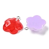 Translucent Resin Pendants RESI-A025-06A-3