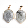 Natural Labradorite Pendants G-S344-12C-2