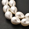 Electroplate Shell Pearl Beads Strands BSHE-G010-14x18mm-01-4