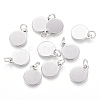 304 Stainless Steel Charms STAS-I124-02C-P-1